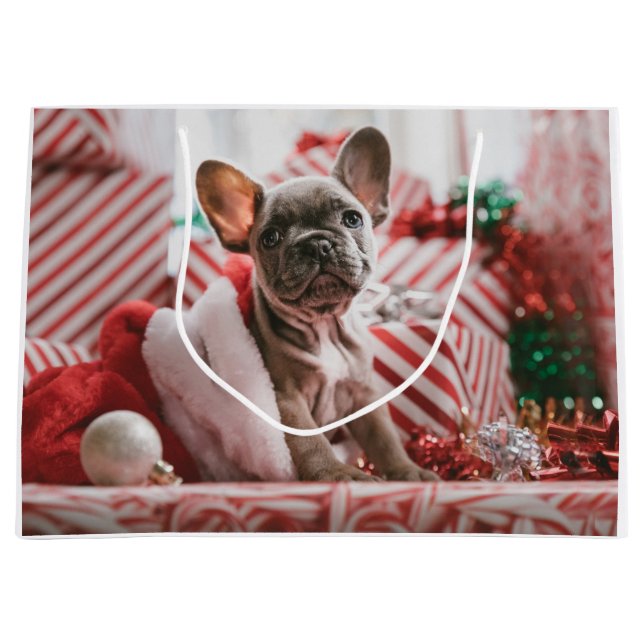 French Bulldog in Christmas Hat (Framsidan)