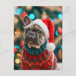 French Bulldog in Knitted Dog Attire Helg Vykort