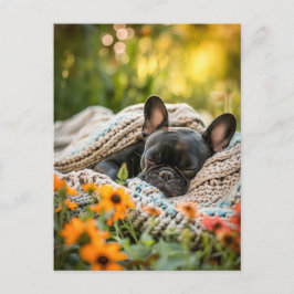 French Bulldog in Knitted Dog Attire Helg Vykort