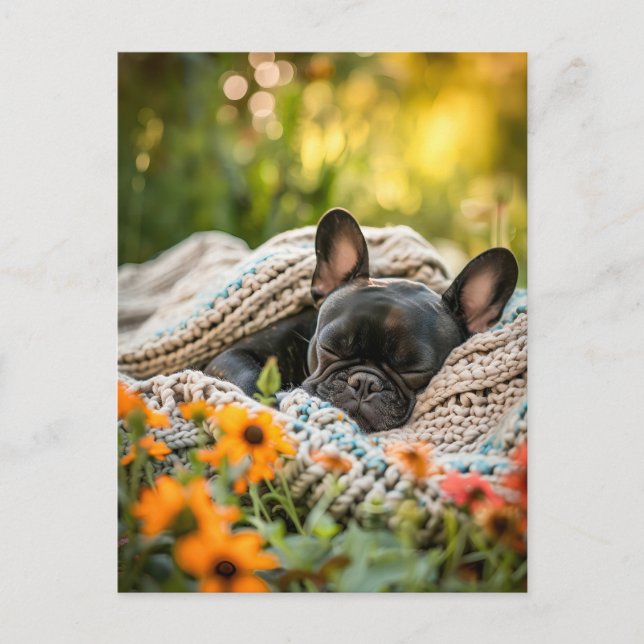 French Bulldog in Knitted Dog Attire Helg Vykort (Framsida)