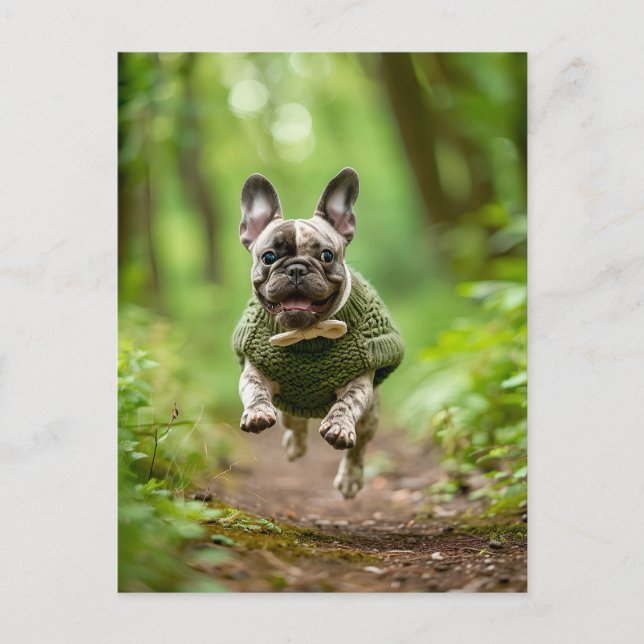French Bulldog in Knitted Dog Attire Helg Vykort (Framsida)