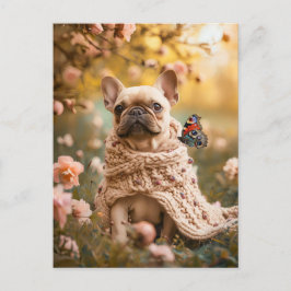 French Bulldog in Knitted Dog Attire Helg Vykort