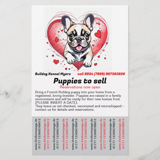 French Bulldog into your home Flyer (Framsidan)