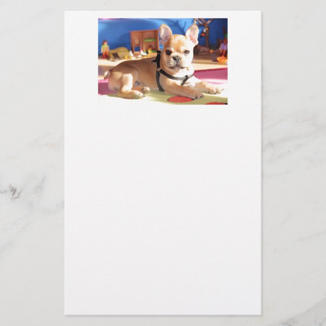 French Bulldog süßer Welpe Brevpapper (Framsida)