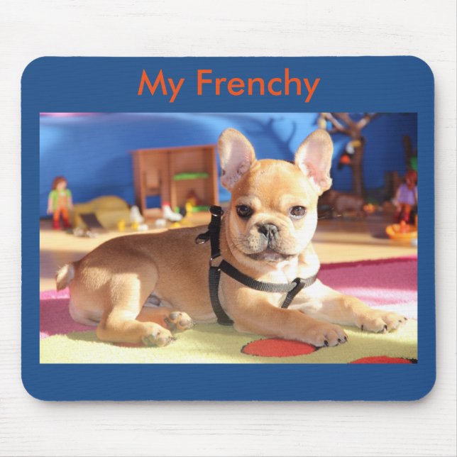 French Bulldog süßer Welpe Musmatta (Framsidan)