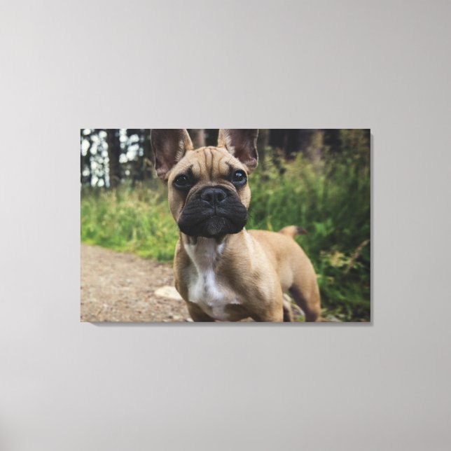 French Bulldog Throw Pillow Canvastryck (Framsida)