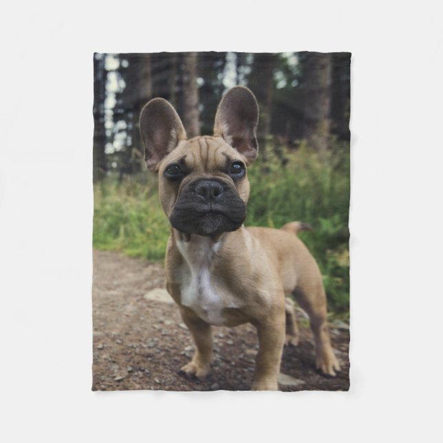 French Bulldog Throw Pillow Fleecefilt (Framsidan)