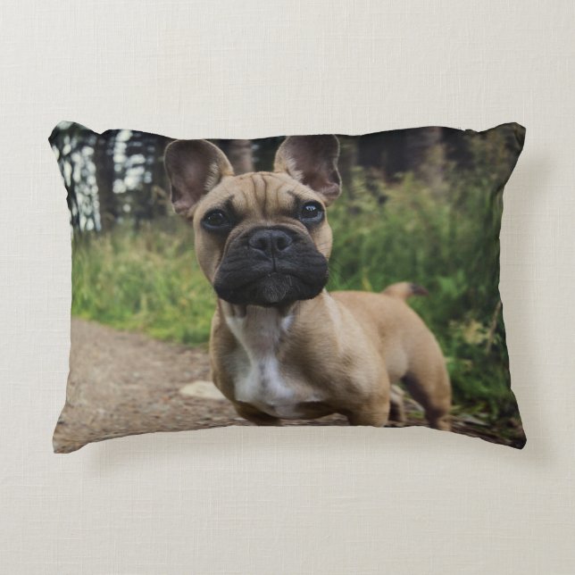 French Bulldog Throw Pillow Prydnadskudde (Framsidan)