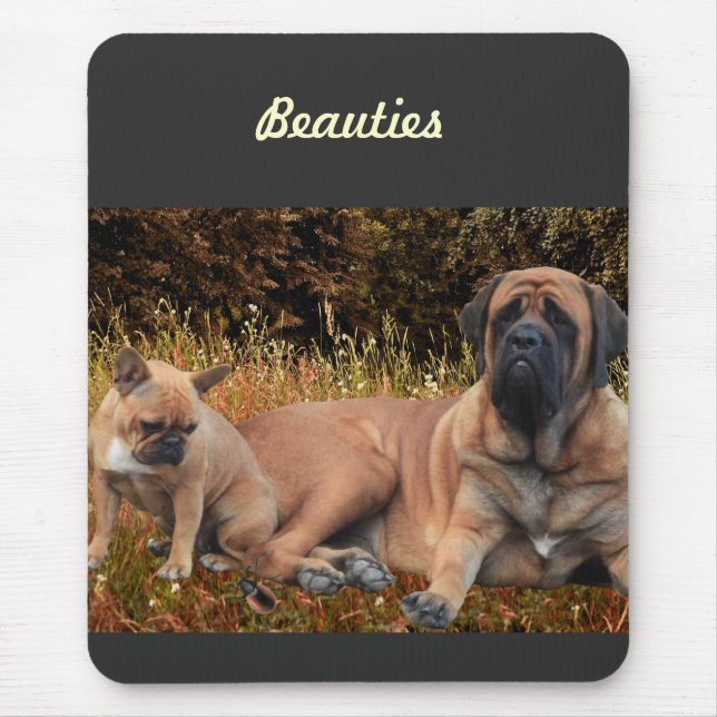 French Bulldog und Mastiff Freunde Musmatta (Framsidan)