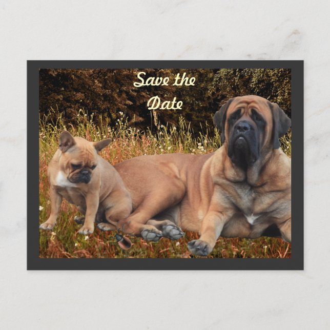 French Bulldog und Mastiff Freunde Vykort (Framsida)