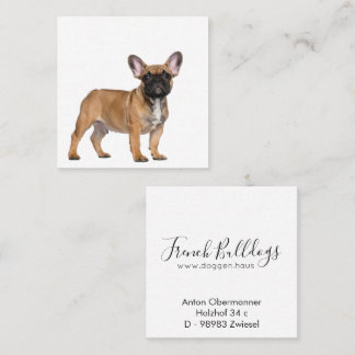 French Bulldogs Square Business Card Fyrkantigt Visitkort