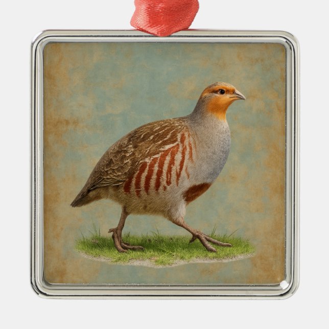 French Partridge  design Christmas tree decoration Julgransprydnad Metall (Framsidan)