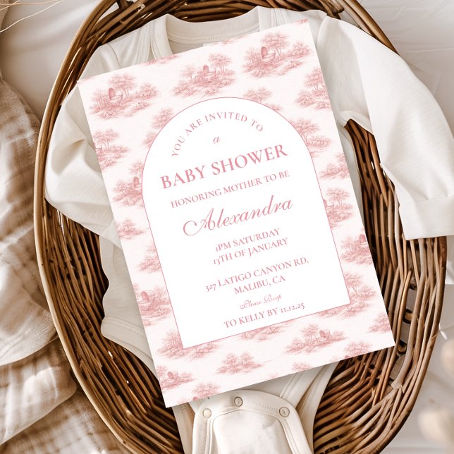 French Toile Baby Shower Pink Inbjudningar (Skapare uppladdad)