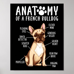 Frenchie Anatomy of a Fransk Bulldog Mamma Pappa Poster