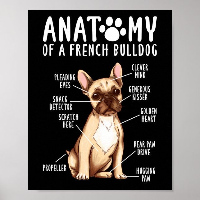 Frenchie Anatomy of a Fransk Bulldog Mamma Pappa Poster (Framsidan)