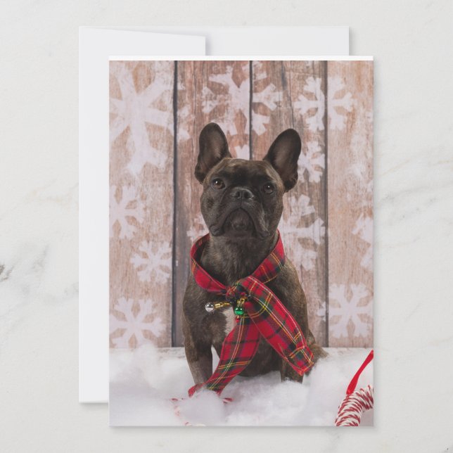 Frenchie baby julkort (Framsida)