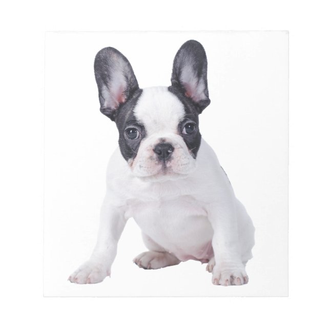 Frenchie - Fransk bulldog puppy Anteckningsblock (Framsida)