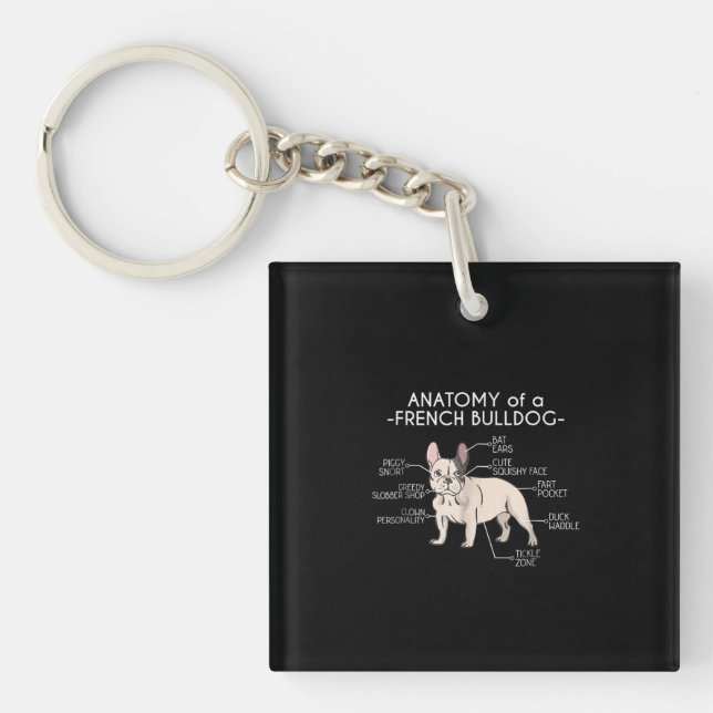 Frenchie Gift | Anatomi hos en Fransk Bulldog (Framsidan)