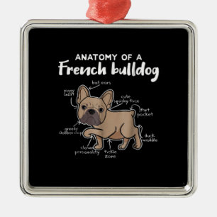 Frenchie Gift Anatomi hos en Fransk bulldog-gåva Julgransprydnad Metall