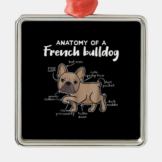 Frenchie Gift| Anatomi hos en Fransk bulldog-gåva Julgransprydnad Metall (Framsidan)