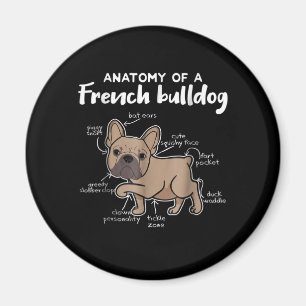 Frenchie Gift Anatomi hos en Fransk bulldog-gåva Magnet