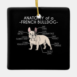 Frenchie Gift Anatomi hos en Fransk Bulldog Julgransprydnad Keramik