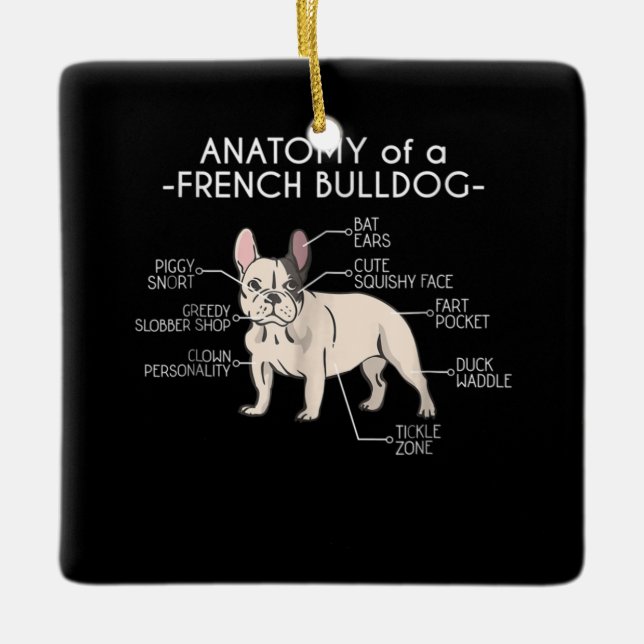 Frenchie Gift | Anatomi hos en Fransk Bulldog Julgransprydnad Keramik (Framsida)