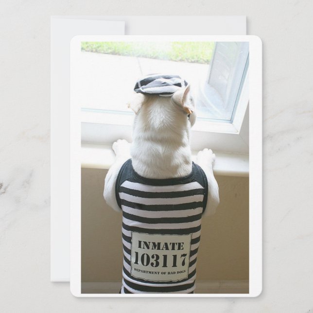 Frenchie Jailbird Grattis på födelsedagen Card (Framsida)