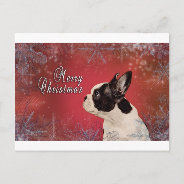 Frenchie julkort helg vykort (Framsida)