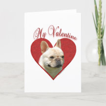 Frenchie min valentin