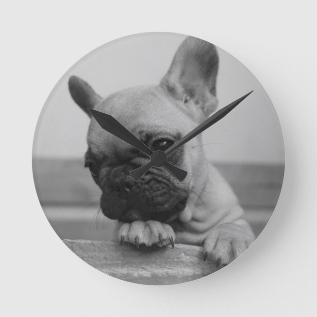 Frenchie puppy rund klocka (Framsida)
