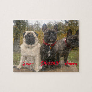 Frenchies & mops pussel