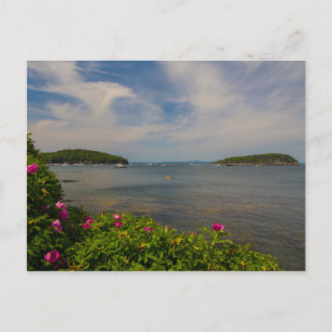 Frenchman Bay, Pub Harbour, Maine Vykort