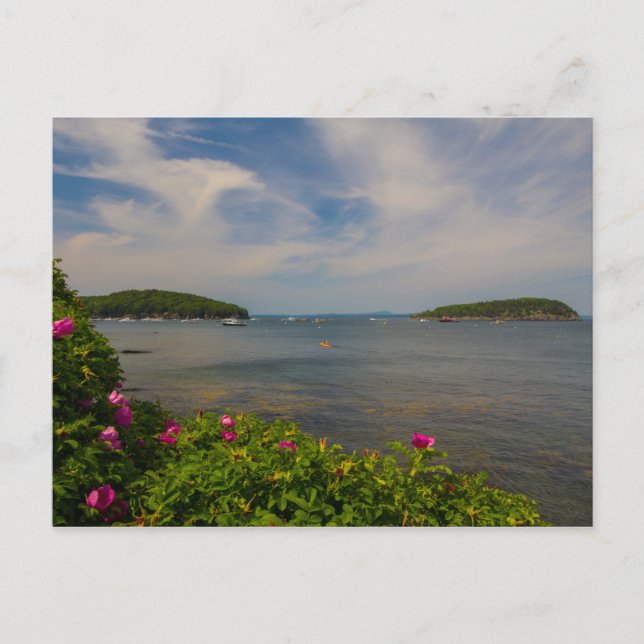 Frenchman Bay, Pub Harbour, Maine Vykort (Framsida)