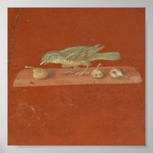 Fresco villa Oplontis Poster