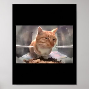 Fresh Cat Meme Side Öga Cat Poster
