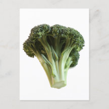 Fresh Jade Grönt Broccoli Floweret Closeup Photo