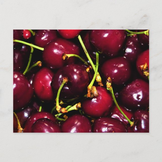 Fresh Juicy Cherries with Water Drops Vykort (Framsida)