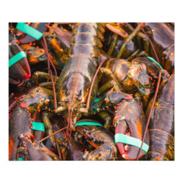 Fresh Off The Boat  24x20 Kodak Pro Photo  (Satin) Fototryck