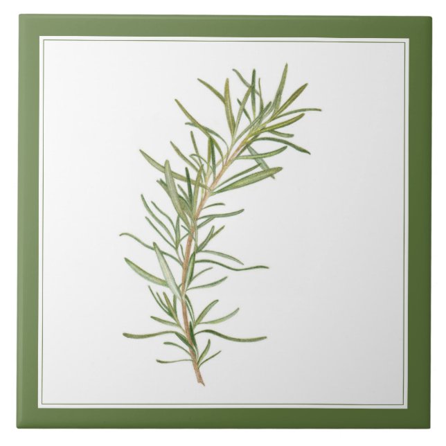 FRESH ROSEMARY 6x6 keramiskt platta (-text)-Grönt Kakelplatta (Framsidan)