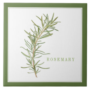 FRESH ROSEMARY 6x6 keramiskt plattor (+text), Grön Kakelplatta