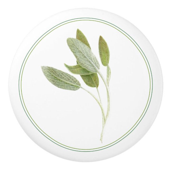 FRESH SAGE Ceramic Knob Knopp (Framsidan)