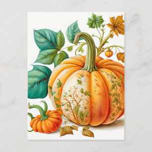 Freshly Picked Autumn Harvested Pumpkin Vykort