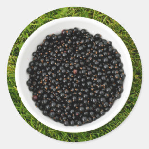 Freshly Picked Blackcurrants Runt Klistermärke