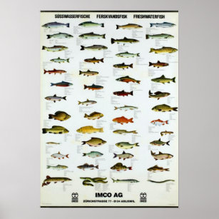 Freshwater Fish Vintage Repro. Skriv Poster
