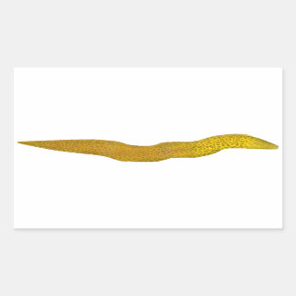 Freshwater Moray Rektangulärt Klistermärke