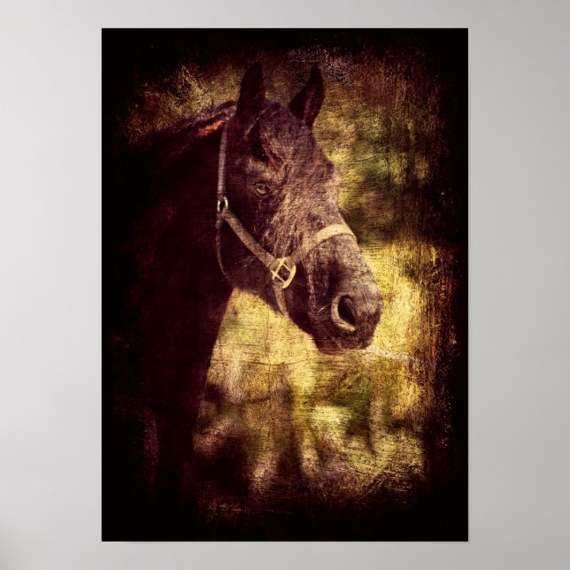 Fresian Grunge Poster (Framsidan)