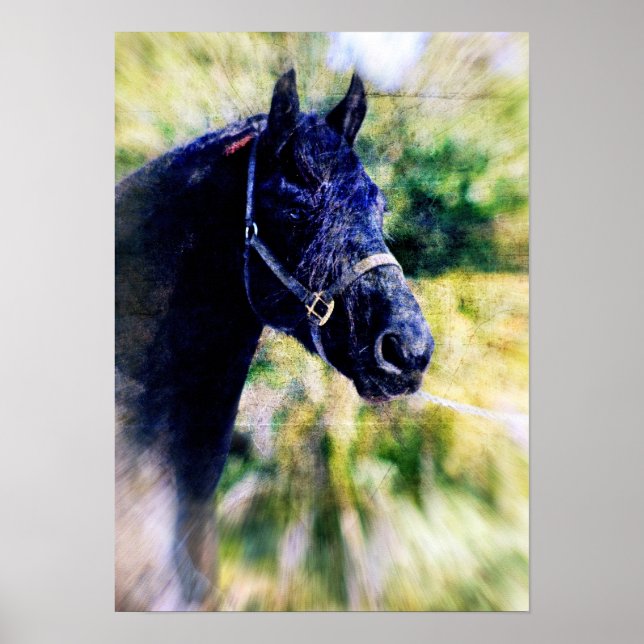 Fresian Horse Digital Art Poster (Framsidan)
