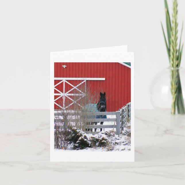 Fresian i Snö Helgkort (Framsida)