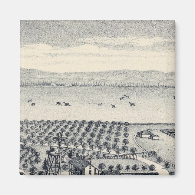 Fresno County, California 20 Magnet (Framsidan)